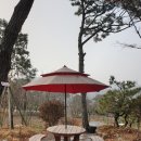 선일목장2 이미지