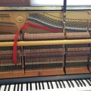 연제구-196 이미지