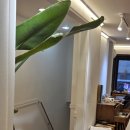 개놀자까페 | ✧명동반지공방 반지야놀자 명동점 | 명동이색데이트 원데이클래스 후기✧