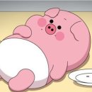 청주성인태권도 이미지