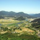 영천 정재호·정원흥 애국 경북도민일보