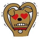 까르체 이미지