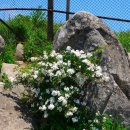 중동전기철물 이미지