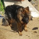 깜순이농장 이미지