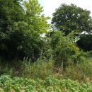 무주읍197 이미지