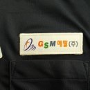 (주)지에스엠