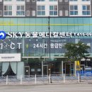 레이크동물의료센터