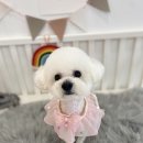 이쁘개몽 이미지