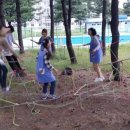 시립청림어린이집 Daum카페
