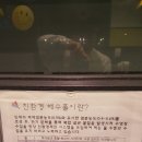 진환전기