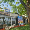 청시행 | 청춘의 시작은 여행이다"청시행" 후기