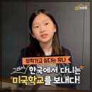 유즈 패밀리