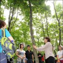 청태산그린 이미지