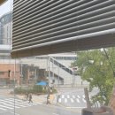 네일 아무르 이미지