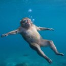 설빙오천점 | 요즘 날씨가 춥더라… 멋부린다고 롱패딩안입으면… 확. 안. 아. 버. 린. 다??