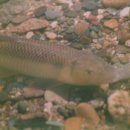 용운119안전센터 이미지