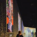 김철호다이어트복싱체육관 이미지