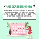 임신준비) 광주 산부인과의원 (야간진료) 배란초음파 찐 후기 및 가격