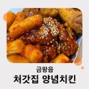 처갓집양념치킨 금왕점 이미지