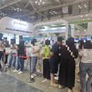 벡스코 4개 박람회 동시 관람기! 시식만 하려다 방울토마토·연잎밥·소금빵까지 사 온 하루 🍅🥐🍚