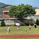 대구효령초등학교 이미지