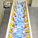 우아한장례 이미지