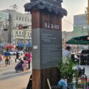 단군허브(주) | [리뷰] 종로 꽃시장 후기/위치/가격 , 서울 일요일에도 여는 묘목/모종시장 3번방문 후기
