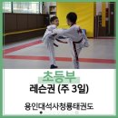 청룡 태권도 교육관 이미지