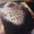 모카하마