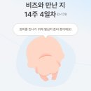 태명산업 | 임신일기10 ⎮ 15주차 청주 청원보건소 슬기로운 태교교실 곰돌이 유모차 딸랑이 만들기