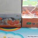 귤하우스 이미지