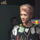 로얄빌라 Daum카페
