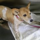 공덕119안전센터 이미지