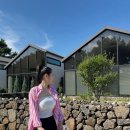 엘디마트 | 제주도 함덕애펜션에서의 특별한 여자 5명 여행 후기