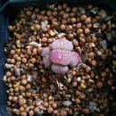 커피내음 이미지