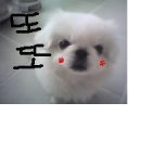 또또 이미지