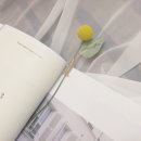 북랩핑 이미지