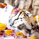 (주)칼라세상 이미지