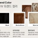폭스스킨 이미지