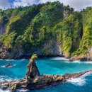 Pacific BUBBLES 이미지