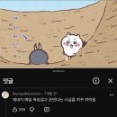 먼작귀보면 위로 많이되는머 이미지