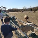 태경목장 이미지