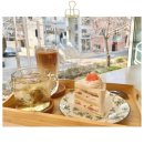만장하우스 | [서울] 연남동 카페 추천 수제케이크 맛집 오로라케이크하우스 내돈내산 후기