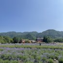 [평창/고성여행]여름휴가로 다녀온 2박 3일 평창-고성여행코스(고성편)