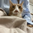 언니네 칼국수&비빔밥 이미지