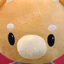 기억하개 이미지