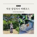 영등2동주민센터 | 익산 당일치기 여행코스_미륵사지/국립익산박물관/아가페정원/고스락카페 / 얼맥축제