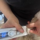 마이뷰티독 이미지