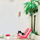 기프트 펫 | 부산역 도보 5분 반려견 동반 여행 | 하운드호텔 부산역 펫룸 솔직 후기