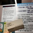 야옹아 놀자 포항점 이미지